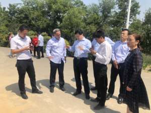 市委統戰部長黃旭東調研德善閣項目